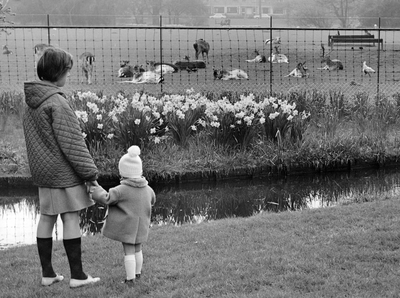 361129 Afbeelding van een meisje met een klein kind bij de hertenwei in het park Oog in Al te Utrecht.